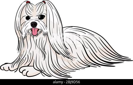Cartoon white lapdog. illustration of a small purebred dog maltese or bichon isolated on white Stock Vector