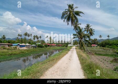 Green Scene At Rural Path At Balik Pulau Penang Stock Photo Alamy