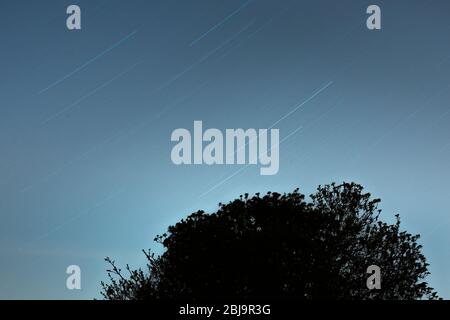 Star trails over a tree at night Stock Photo