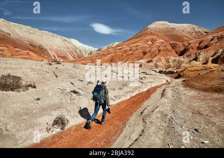 Tourist with backpack and camera walking at the dusty canyon on surreal red mountains against blue sky in the desert Stock Photo