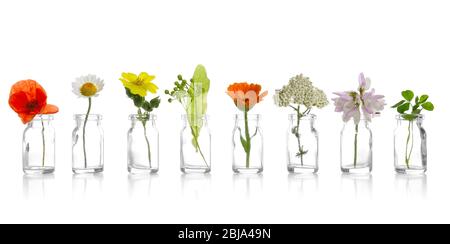 Different healing flowers in small glass bottles on white background Stock Photo