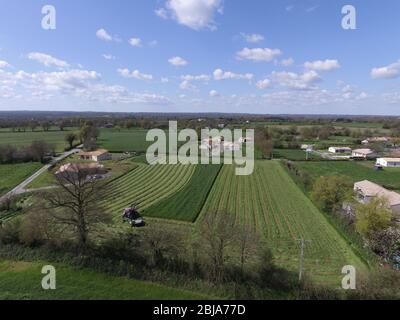 Arial Images Of Lines Produced By Harvesting Stock Photo