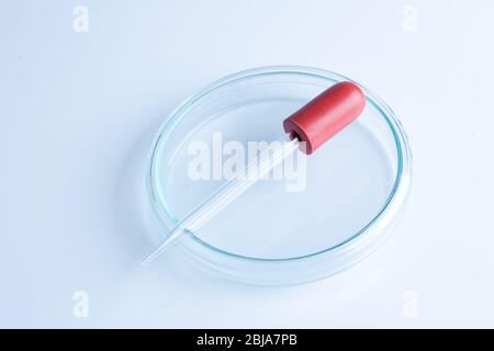 a petri dish aka petrie dish petri plate or cell culture dish cylindrical glass Stock Photo