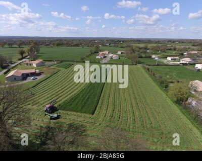 Arial Images Of Lines Produced By Harvesting Stock Photo