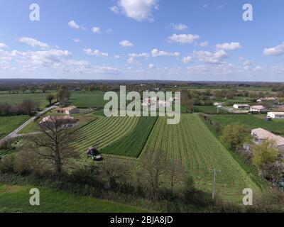 Arial Images Of Lines Produced By Harvesting Stock Photo