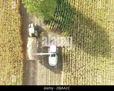 Arial Images Of Lines Produced By Harvesting Stock Photo