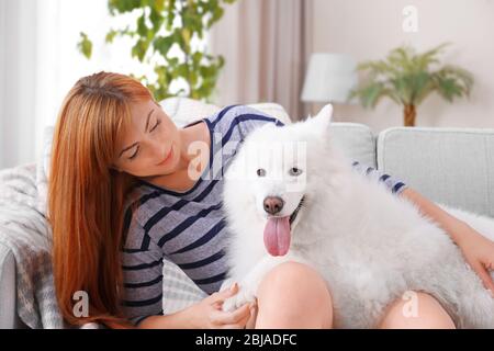 Girl having fun with Samoyed dog at home Stock Photo