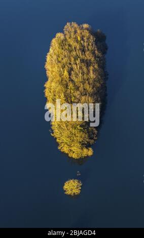 exclamation mark-sjaped island in storage lake Ennepetalsperre, 21.01.2020, aerial picture, Germany, North Rhine-Westphalia, Breckerfeld Stock Photo