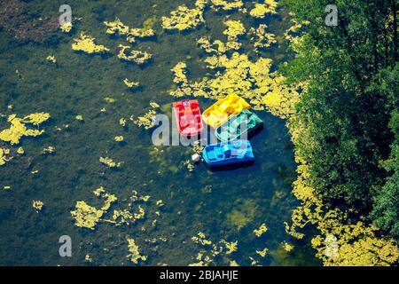 , Colorful plastic pedal boats on the castle pond Wittringen in Gladbeck, 19.07.2016, aerial view, Germany, North Rhine-Westphalia, Ruhr Area, Gladbeck Stock Photo