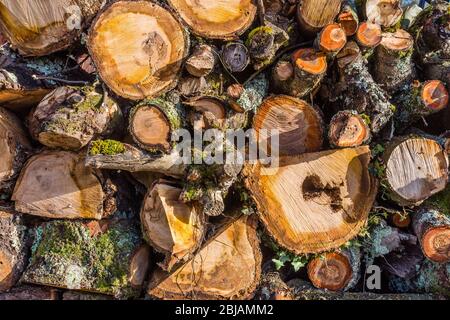 Logs stacked for domestic open fireplace. Stock Photo