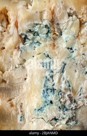Background of English Stilton cheese texture with blue mold. A piece of Stilton blue cheese. Stock Photo