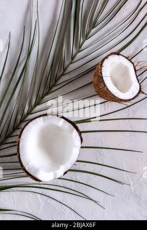 Flat lay with two halves of fresh coconut in its hairy brown shells on green palm leaf and on white textured table surface. View from directly above. Stock Photo
