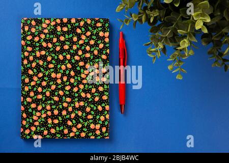 Blue texture background workspace with colorful notebook, green plant and a pen Stock Photo