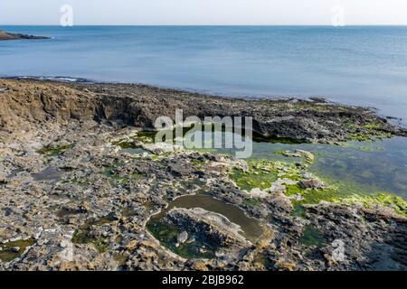Mossy seashore and rocks, tranquil scene sea nature Stock Photo