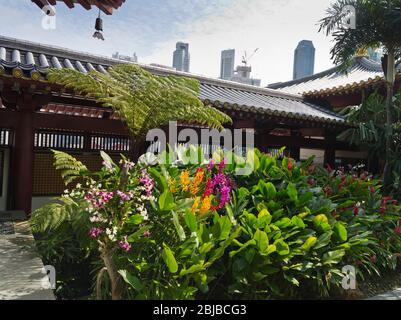dh Buddha Tooth Relic Temple CHINATOWN SINGAPORE Buddhist temples museum roof garden orchids buddhism skyscrapers Stock Photo
