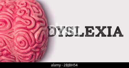 dyslexia word next to a human brain model Stock Photo