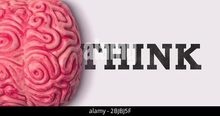 Think word next to a human brain model Stock Photo