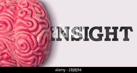 insight word next to a human brain model Stock Photo