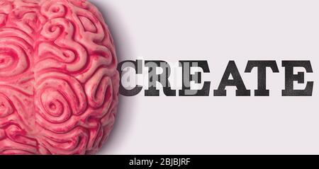 create word next to a human brain model Stock Photo