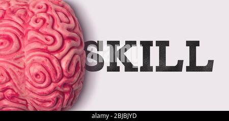 Skill word next to a human brain model Stock Photo