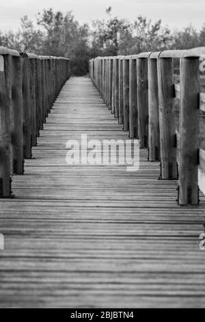 Wooden deck constructed for water transportation and birdwatching at the protected areas of lake Vistonida Porto Lagos. Xanthi region, Northern Greece. Selective shallow focus black and white image Stock Photo