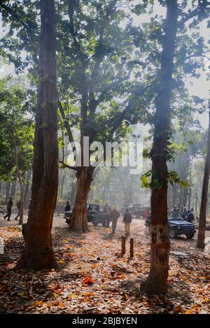 Taking a breakfast break in Bandhavgar national park. A tourists' impression of first visit to India in search of tigers and culture. Stock Photo
