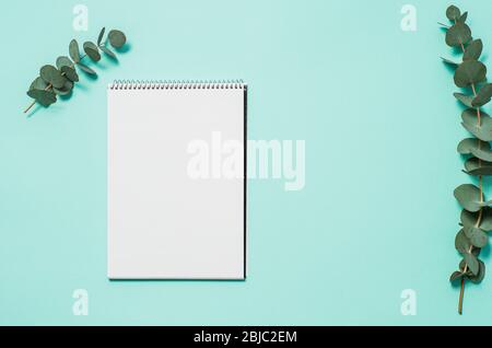 Blank notebook and eucalyptus on blue background. Empty notebook paper and eucalyptus branch on pastel blue background with copy space for text or design. Horizontal. Flat lay, top view, copyspace Stock Photo