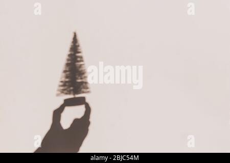 Grey botanical shadows of hand holding miniature Christmas tree on beige wall background. Christmas creative concept. Stock Photo