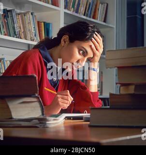 Asian school student girl 15-17yrs concentrating studying intently for exams in school library. Exam & reference books on school library table Stock Photo