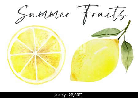 lemon. Fresh lemon fruits, collection of illustrations Stock Photo