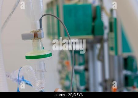 Endotracheal  tube, HME filter, carbon dioxide sensor,  patient connected to medical ventilator in ICU in hospital. Stock Photo