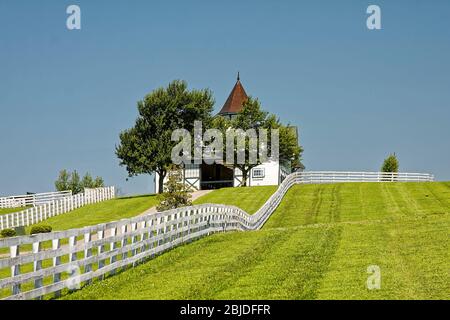 horse farm scene, white fences, barn, cupola, green grass, peaceful, rural, trees, Kentucky; USA; Lexington; KY; spring Stock Photo