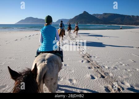 Horse riding on long beach, Cape Town, South Africa Stock Photo