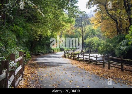 Rural scene of a fence-lined road under an early fall canopy Stock Photo