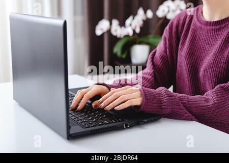 Woman working or learning from home using laptop. Freelancer have remote work, online education, work on maternity leave. Female hands typing on Stock Photo