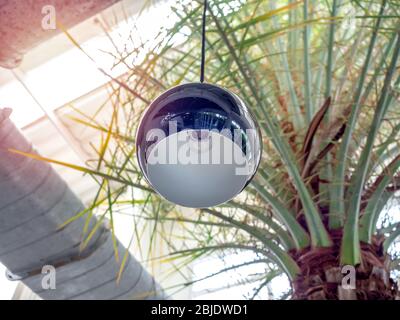 Modern blue round shaped ceiling lamp hanging from ceiling near tropical palm tree in building with sunlight. Stock Photo