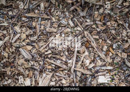 Closeup of wood rough mulch Stock Photo