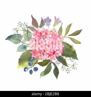 Floral watercolor set with pink hydrange. Botanical arrangements with flowers and leaves. Great for printing on fabric, banners, invitations and cards Stock Vector