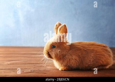 Cute bunny on wooden floor Stock Photo