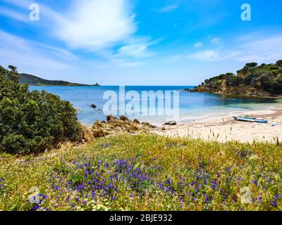 Free beach of Punta Libeccio - Cala Angioni overlooking the turquoise sea of Sardinia Stock Photo