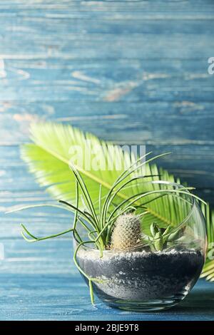 Glass pot with succulents on color wooden background Stock Photo