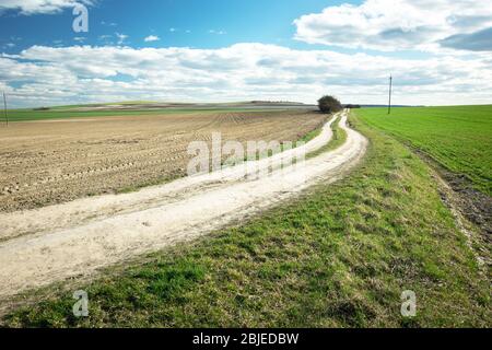 A long dirt road through fields, horizon and white clouds on a blue sky Stock Photo