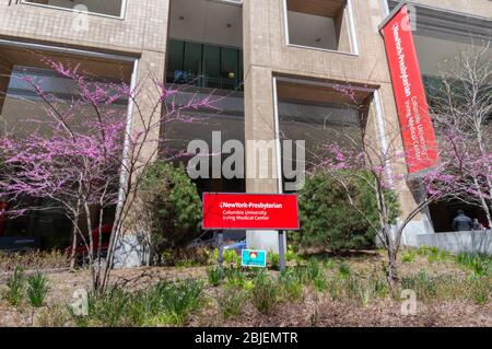 sign in front of the New York Presbyterian Hospital Columbia University Irving Medical Center seen on a spring day with crabapple trees blossoming