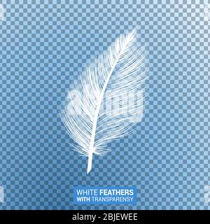 White feathers background falling flying fluffy Vector Image