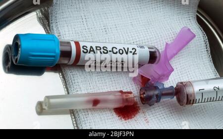 blood syringe with covid-19 vaccine, conceptual idea Stock Photo