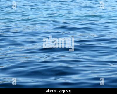 Water surface texture of deep blue sea. Soft waves, ripple water for background Stock Photo