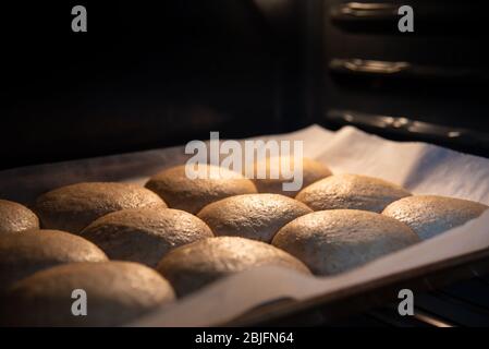 Pan of whole wheat buns rising in warm oven before baking Stock Photo