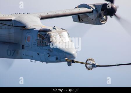 A U.S. Marine Corps MV-22 Osprey assigned to the 26th Marine Expeditionary Unit, conducts an aerial refuel from a KC-130J Super Hercules assigned to Marine Aerial Refueler Transport Squadron 352 (VMGR-352), Special Purpose Marine Air-Ground Task Force – Crisis Response – Central Command (SPMAGTF-CR-CC) 19.2 in Bahrain, April 22, 2020. The SPMAGTF-CR-CC is a crisis response force, prepared to deploy a variety of capabilities across the region. (U.S. Marine Corps photo by Sgt. Robert G. Gavaldon) Stock Photo