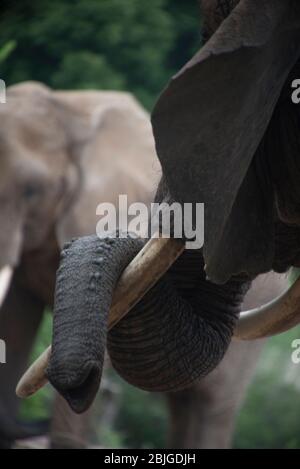 Milwaukee County Zoo Stock Photo