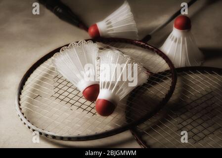 Badminton Still Life: Two rackets and shuttlecocks on gray surface with strong side light. Stock Photo